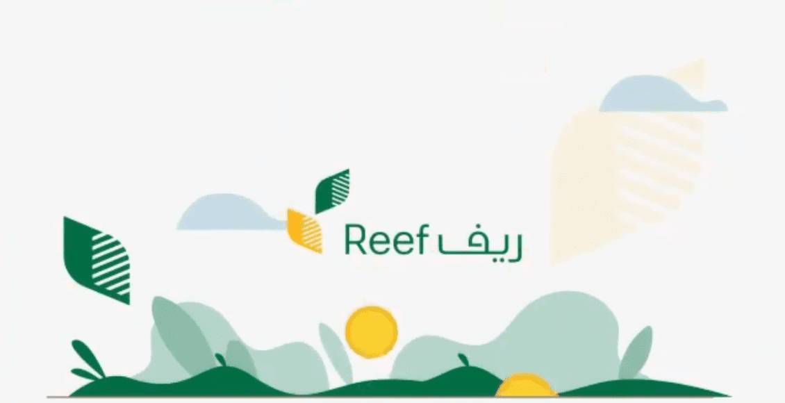 رابط تسجيل دخول ريف reef login