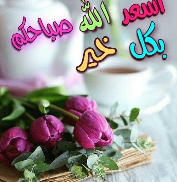 الرد على اسعد الله صباحكم