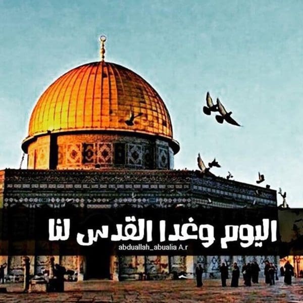 اجمل الصور عن فلسطين