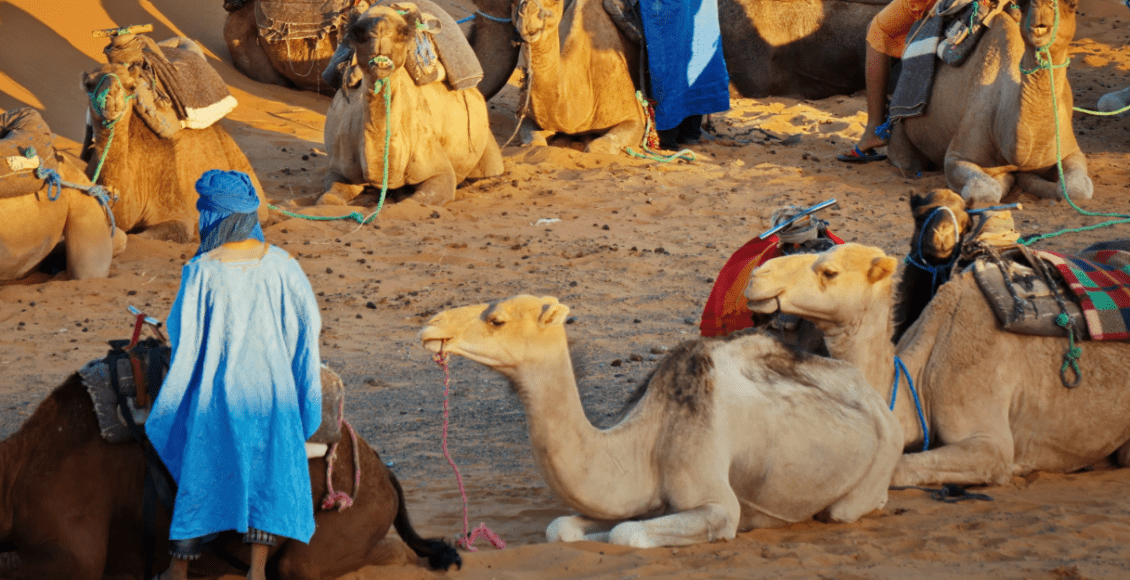 لماذا سمي الرشايدة بهتيم